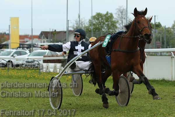 ET0Q0362a prot